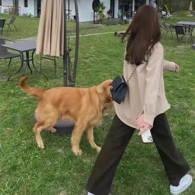 谷穗黄了封面